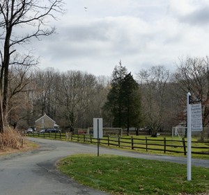 Princeton Friends Driveway